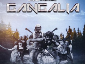 Gangalia By Jay Bahd x Shatta Wale MP3 Download